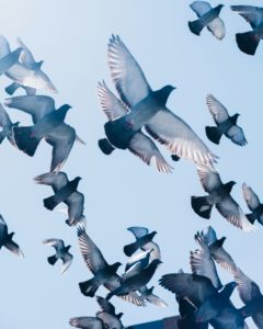 © zac-ong-hPOFScEaZcA-unsplash